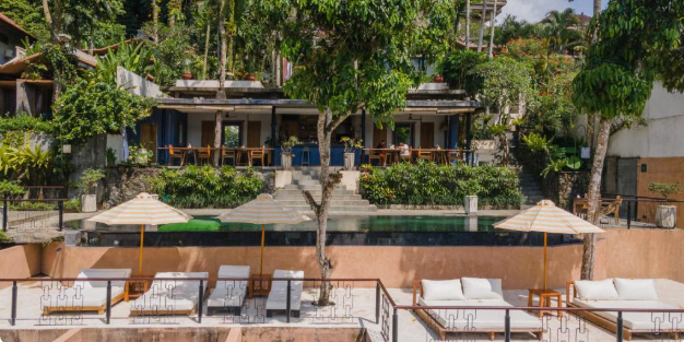 Amora Ubud private infinity pool villa overlooking rice terraces Bali Indonesia